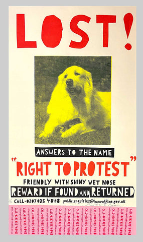 LOST - Right to Protest Screenprint